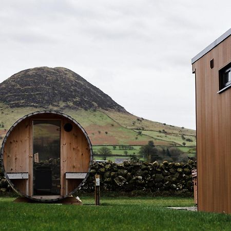 Slemish Hideaway - Funky Pheasant Villa Broughshane ภายนอก รูปภาพ