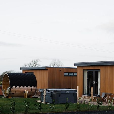 Slemish Hideaway - Funky Pheasant Villa Broughshane ภายนอก รูปภาพ